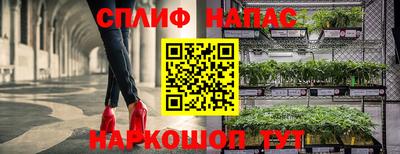 сатива Изобильный