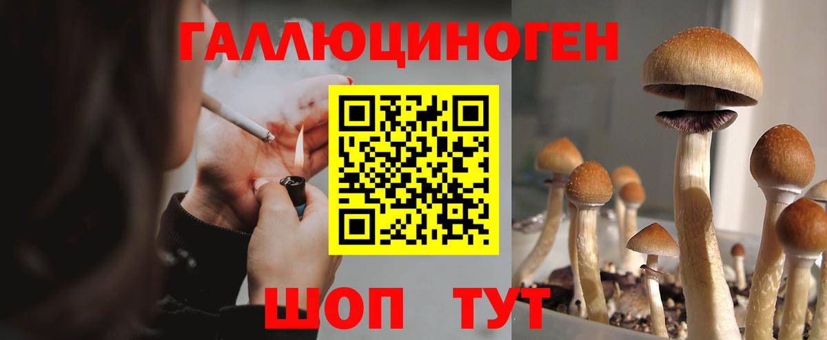 Галлюциногенные грибы ЛСД  Галлюциногенные грибы Magic Shrooms  Люберцы  Вход с VPN 